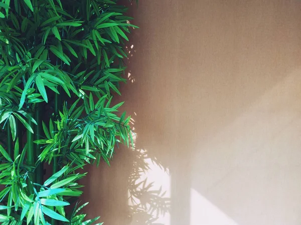 Коричневая Стена Интерьера Бамбуковой Установкой Естественный Дизайн Интерьера — стоковое фото