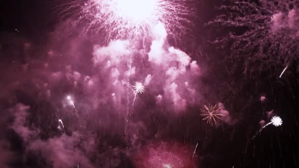 Capodanno Fuochi Artificio Colorati Sul Cielo Nero Celebrazione Sfondo — Video Stock