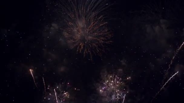 Nieuwjaar Kleurrijk Vuurwerk Zwarte Lucht Viering Achtergrond — Stockvideo