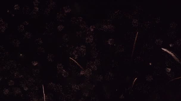 Nieuwjaar Kleurrijk Vuurwerk Zwarte Lucht Viering Achtergrond — Stockvideo