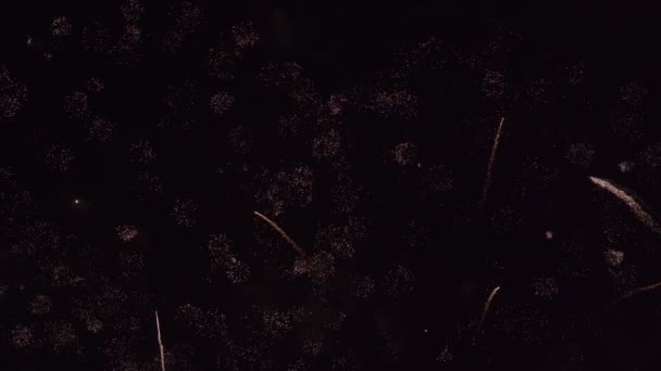 Capodanno Fuochi Artificio Colorati Sul Cielo Nero Celebrazione Sfondo — Video Stock