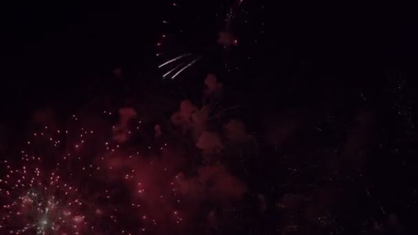 Nieuwjaar Kleurrijk Vuurwerk Zwarte Lucht Viering Achtergrond — Stockvideo