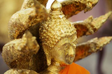 Asya Altın Buharupa altın yapraklı arka planla kaplıdır.