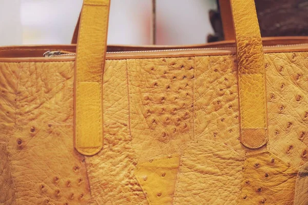 Products Made Leather Crocodile Luxury Design Business Fashion — 스톡 사진