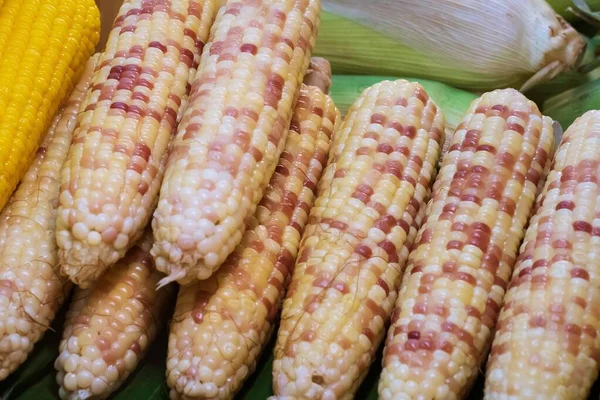 Close up of Freshly picked white corn cobs in a row, thai street food market