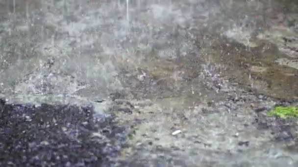 Mouvement Lent Gros Plan Goutte Pluie Tombant Sur Béton Rue — Video