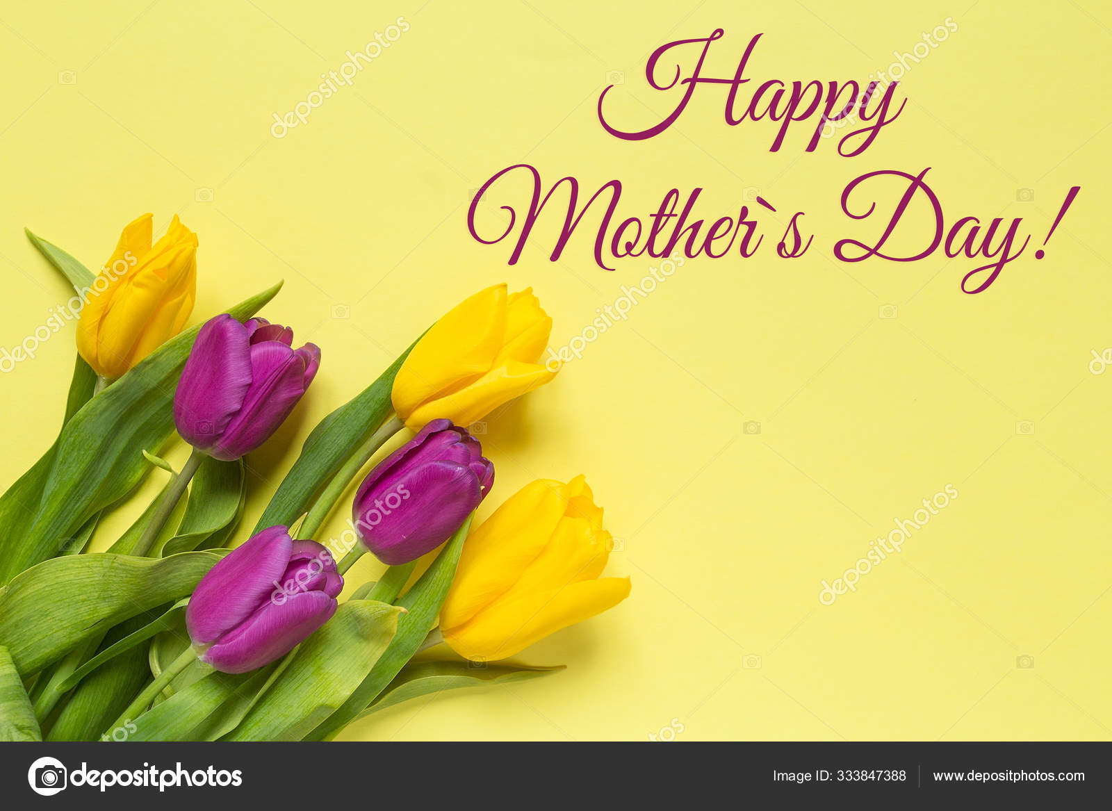 Hình ảnh bó hoa Tulip vàng tím Ngày của Mẹ sẽ là món quà tuyệt vời cho người mẹ của bạn trong dịp đặc biệt này. Tông màu vàng và tím kết hợp hoàn hảo, tạo ra sự uyển chuyển, tươi sáng giữa không khí rực rỡ những bông hoa.