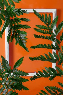 Turuncu orman arka planında tropik eğreltiotu yaprakları, çiçekli yaz deseni, trend düz yatıyordu