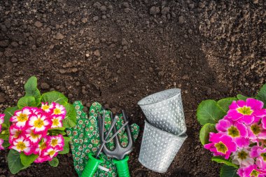 Bahçecilik aletleri Toprak zemin üzerine. Bahar bahçe işleri kavramı