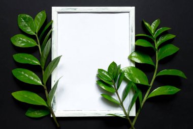 Creative flat lay top view of green  leaves millennial black paper background with  copy space. Minimal  leaf plants summer concept template for your text or design.