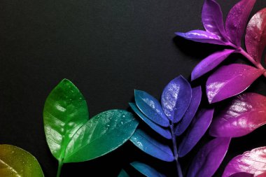 Neon ışıklı tropikal yapraklardan oluşan yaratıcı floresan renk düzeni. Düz yatıyordu. Doğa konsepti