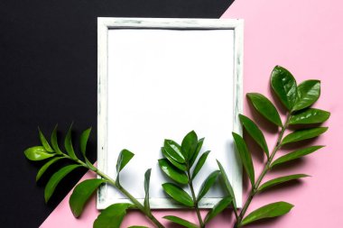 Pembe siyah arka planda tropik yapraklar, düz manzaralı. Tebrik kartı poster şablonu