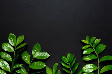 Tropical leaves on  black background, flat lay top view. Greeting card poster template