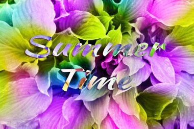  Yaz indirimi afişi. Moda dokusu.