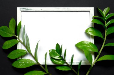 Creative flat lay top view of green  leaves millennial black paper background with  copy space. Minimal  leaf plants summer concept template for your text or design.