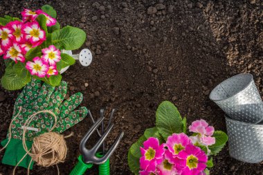 Bahçecilik aletleri Toprak zemin üzerine. Bahar bahçe işleri kavramı
