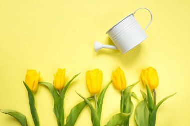 Sarı ve mor çiçekli laleler sarı arka planda bir bukette, neşeli bir bahar arkaplan tebrik kartı