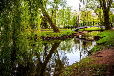 Beautiful summer spring landscape in a city park with a lake stream among green trees on a sunny day, summer spring background