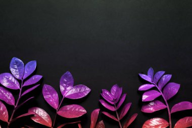 Neon ışıklı tropikal yapraklardan oluşan yaratıcı floresan renk düzeni. Düz yatıyordu. Doğa konsepti