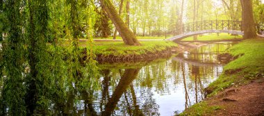 Beautiful summer spring landscape in a city park with a lake stream among green trees on a sunny day, summer spring background long banner