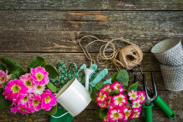 Gartengeräte Auf Hölzernem Hintergrund Frühjahrsgartenkonzept — Stockfoto
