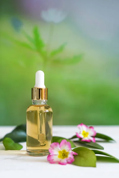 Organic Cosmetics Natural Oil Handmade Herbal Primrose Flower Extracts Glass — Stock Photo, Image