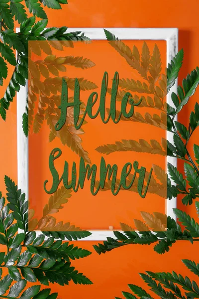 Tropical Fern Leaves Orange Jungle Background Floral Summer Pattern Trend — Stock Photo, Image