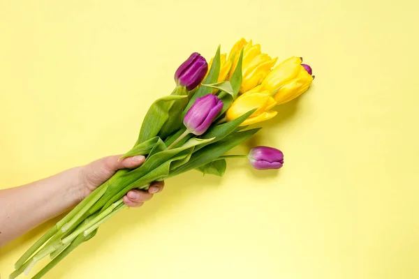 Жовті Фіолетові Квіти Тюльпани Букет Жовтому Фоні Руки Жінки Святковий — стокове фото
