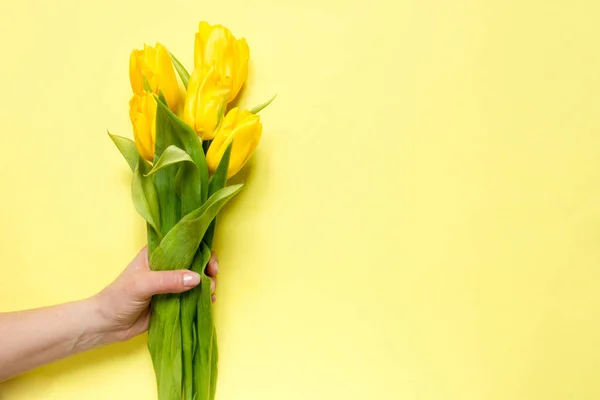 Жовті Фіолетові Квіти Тюльпани Букет Жовтому Фоні Руки Жінки Святковий — стокове фото