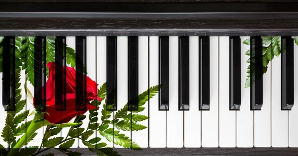 Piano.Music background.Musical instrument keys close up flat lay top view duaton banner