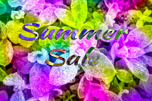 Summer Sale Banderollen Trendig Struktur — Stockfoto