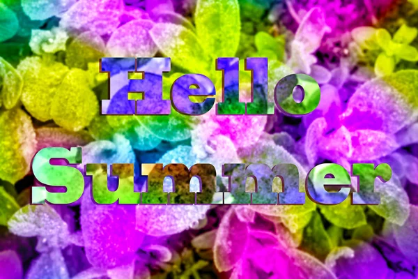 Hello Summer Banner Tropical Garden Summer Bright Backgroun — Stock Photo, Image