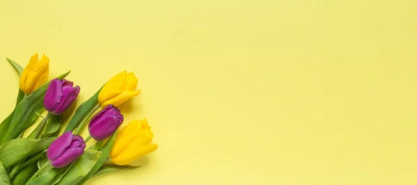 Жовті Фіолетові Квіти Тюльпани Букет Жовтому Фоні Святковий Весняний Фон — стокове фото
