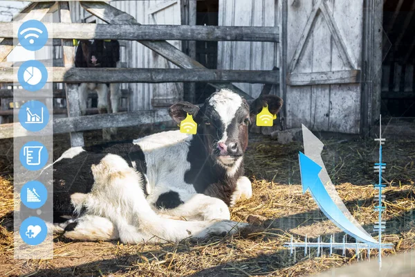 Concepto Agritech Mostrando Una Aplicación Inalámbrica Para Smartphone Leyendo Datos — Foto de Stock