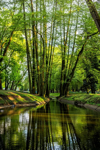 Beautiful Summer Spring Landscape City Park Lake Stream Green Trees Royalty Free Stock Images