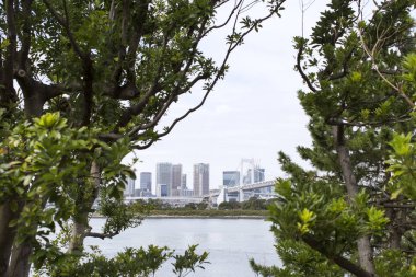 Tokyo Şehri Gökkuşağı Köprüsü