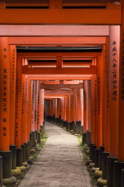Kyoto Kırmızı Kapılar Fushimi Inari
