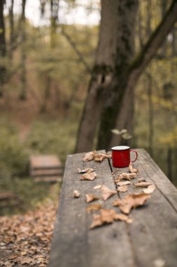 Kırmızı fincan sonbahar yaprakları dökülüyor