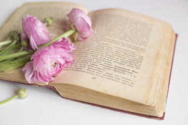 Klasik kitap ve çiçek havası.