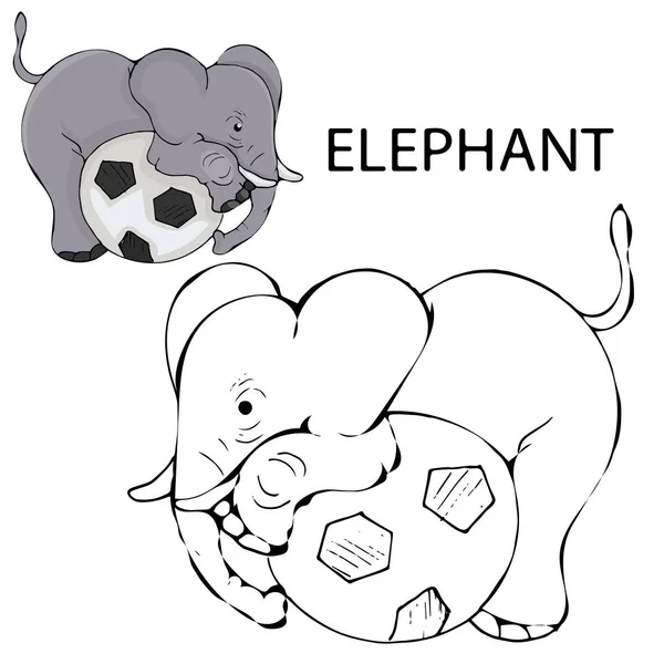 Elefante bebé delineado. Linha vetorial ilustração arte colorir página . — Vetor de Stock
