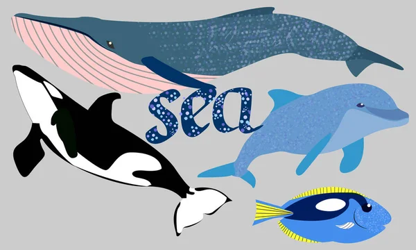 Wieloryb Wieloryb Delfin Ryby Mieszkańcami Oceanu — Wektor stockowy
