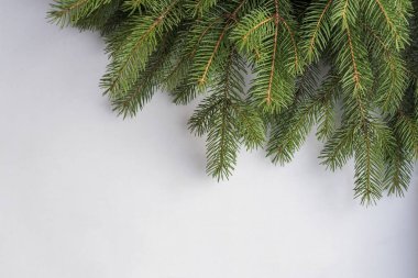Yeşil ladin dallarının beyaz arka planında Noel oyuncakları, yatay manzara, kopyalama alanı yok.