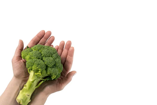 Food Concept Only Female Hands Holding Green Swing Asparagus Cabbage — Stock Photo, Image