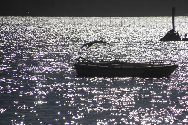 Boat, seagul and reflection on sea — Stock Photo, Image