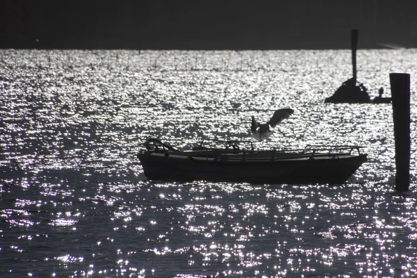 Barca, gabbiano e riflessione sul mare — Foto Stock