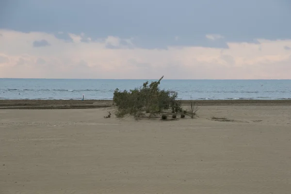 Cielo nublado en el mar en invierno — Foto de Stock