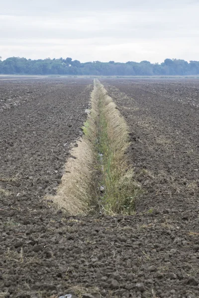 Ontgonnen veld in de herfst — Stockfoto