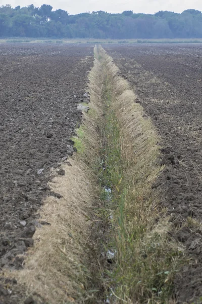 Ontgonnen veld in de herfst — Stockfoto