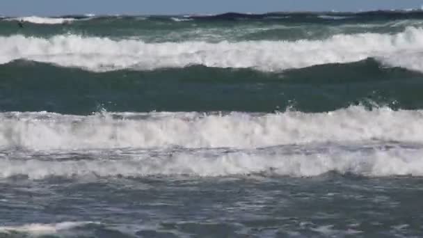 Mar tempestuoso com o vento — Vídeo de Stock