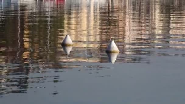 Pelampung dan refleksi di danau — Stok Video